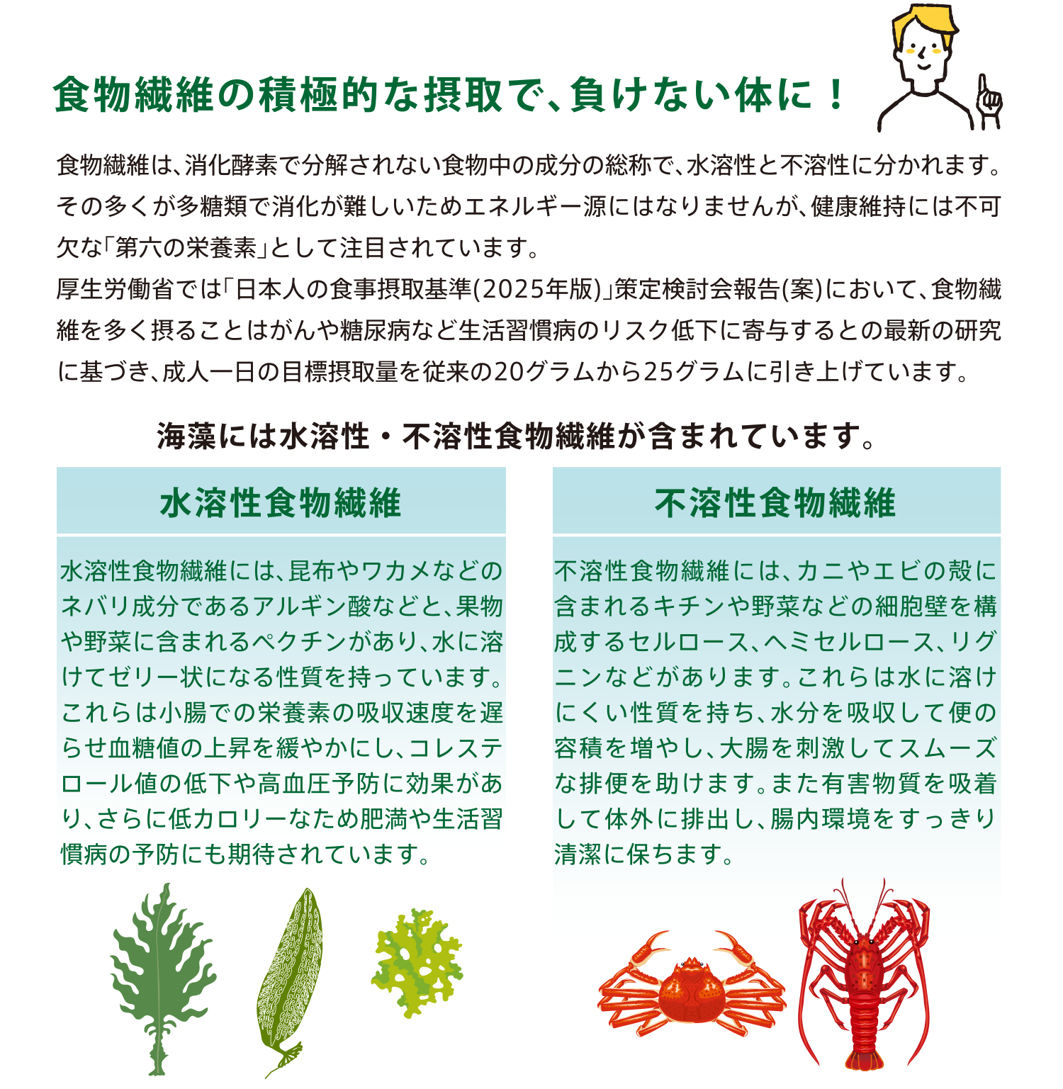 北大ガゴメ　フコイダンAM